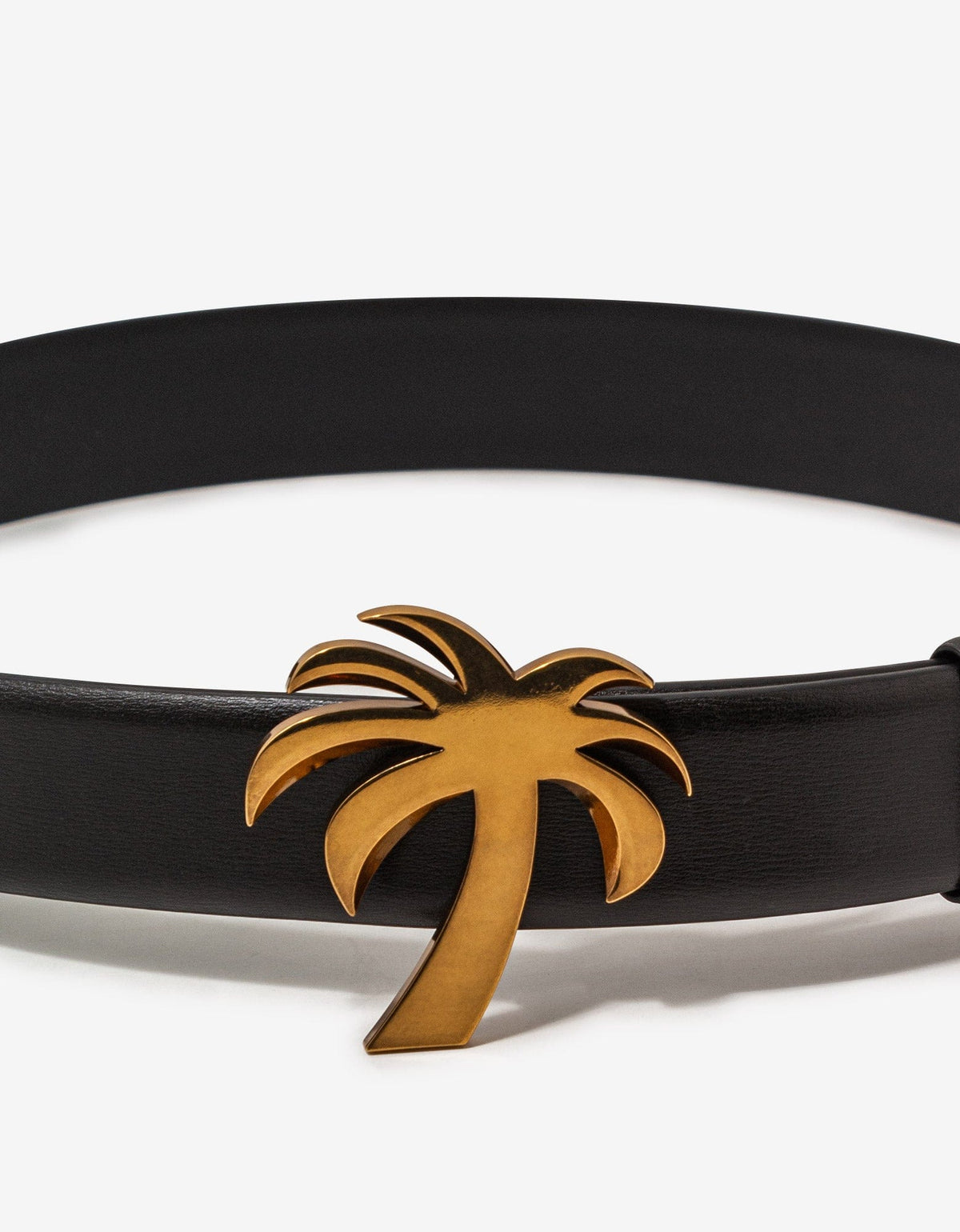 Palm Angels Black Palm Leather Belt