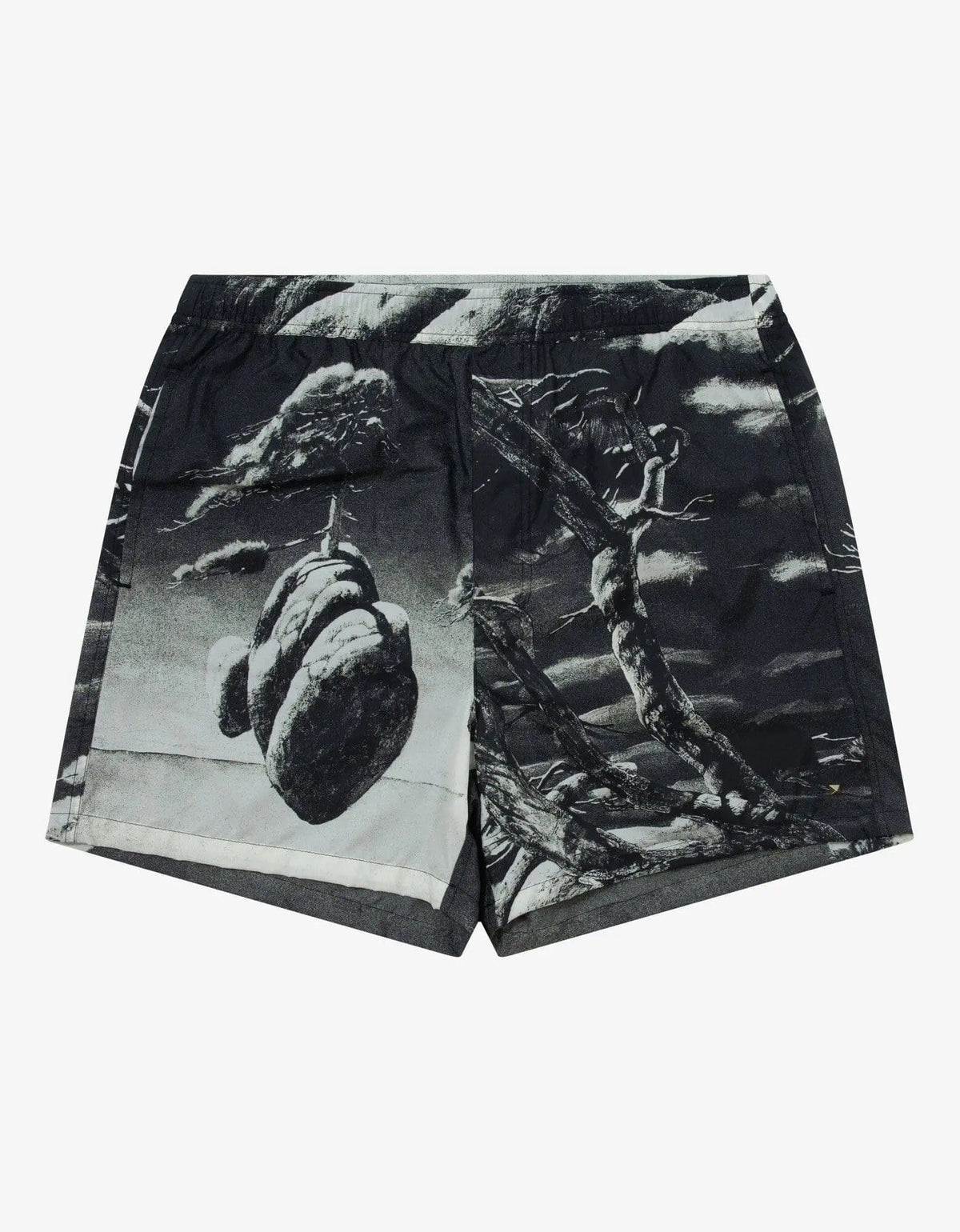 Valentino Garavani Valentino Garavani Floating Island Print Swim Shorts